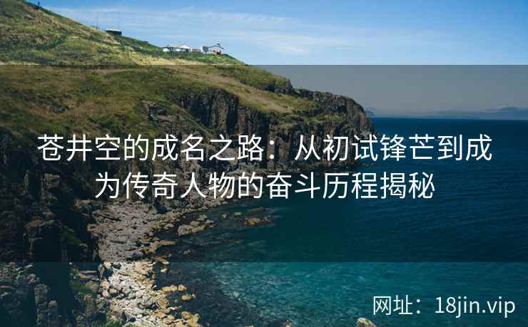 苍井空的成名之路：从初试锋芒到成为传奇人物的奋斗历程揭秘  第2张