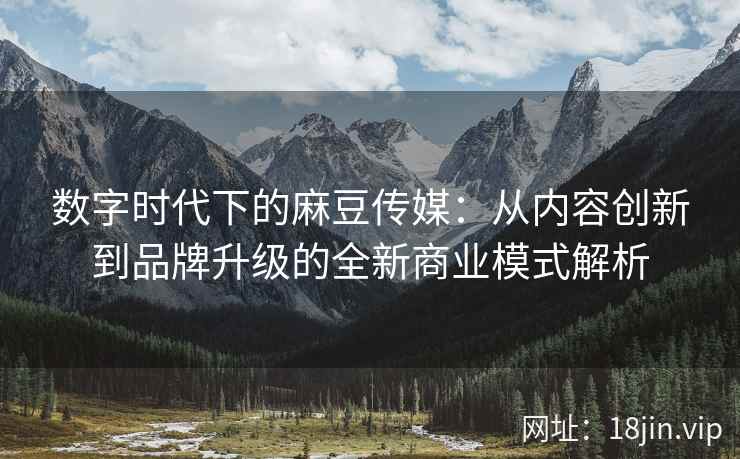数字时代下的麻豆传媒：从内容创新到品牌升级的全新商业模式解析  第2张